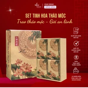 Set Quà Tinh Hoa Thảo Mộc - Trà Thảo Mộc Quà Tặng Sức Khỏe