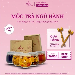 Mộc Trà Ngũ Hành - Hộp Mix 5 Vị