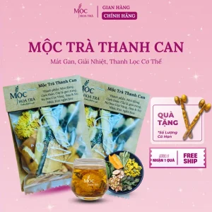 Mộc Trà Thanh Can - Trà Thảo Mộc 6 Vị Hỗ Trợ Mát Gan