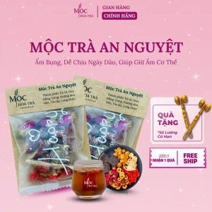 Mộc Trà An Nguyệt - Trà Gừng Đường Nâu Thảo Mộc