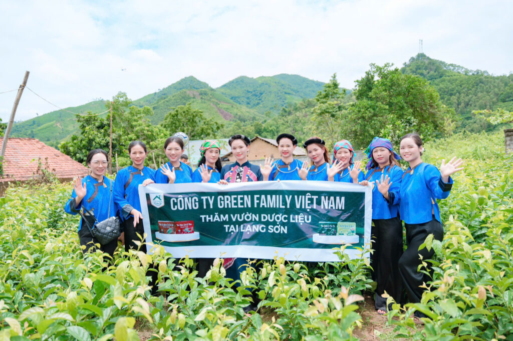 trà thảo dược green family việt nam - trà thảo dược chính hãng chất lượng cao